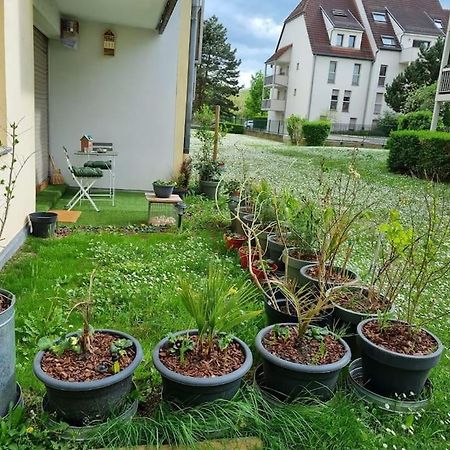 L'Univers Au Blanc. Straßburg Exterior foto