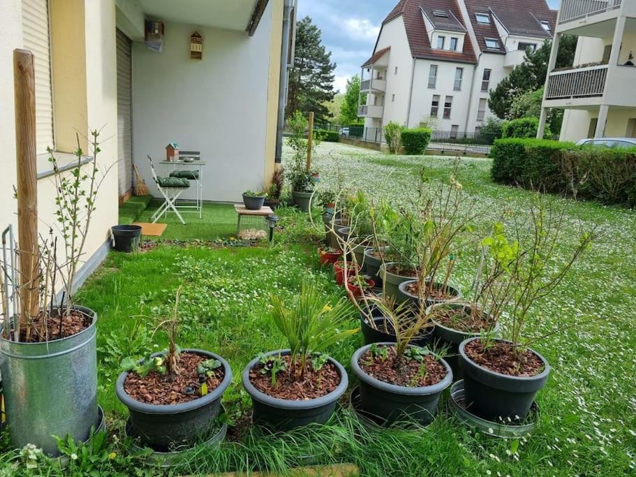 L'Univers Au Blanc. Straßburg Exterior foto